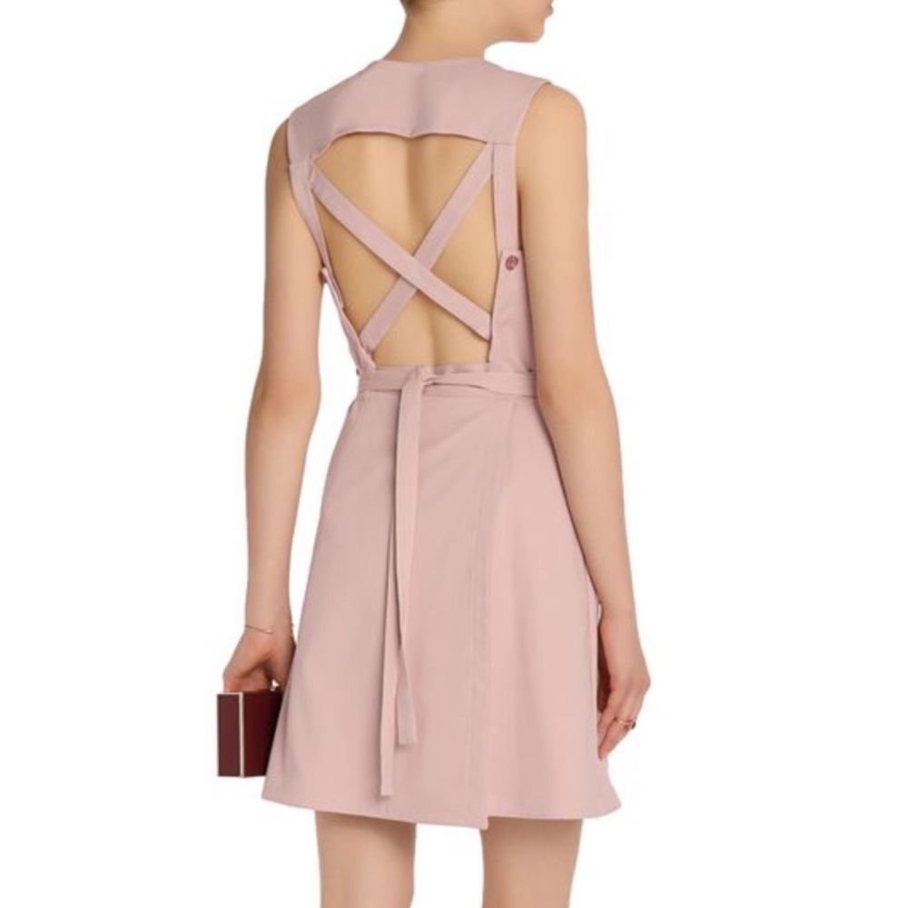 NWOT Alexis Niccola Blush Pink Dress
